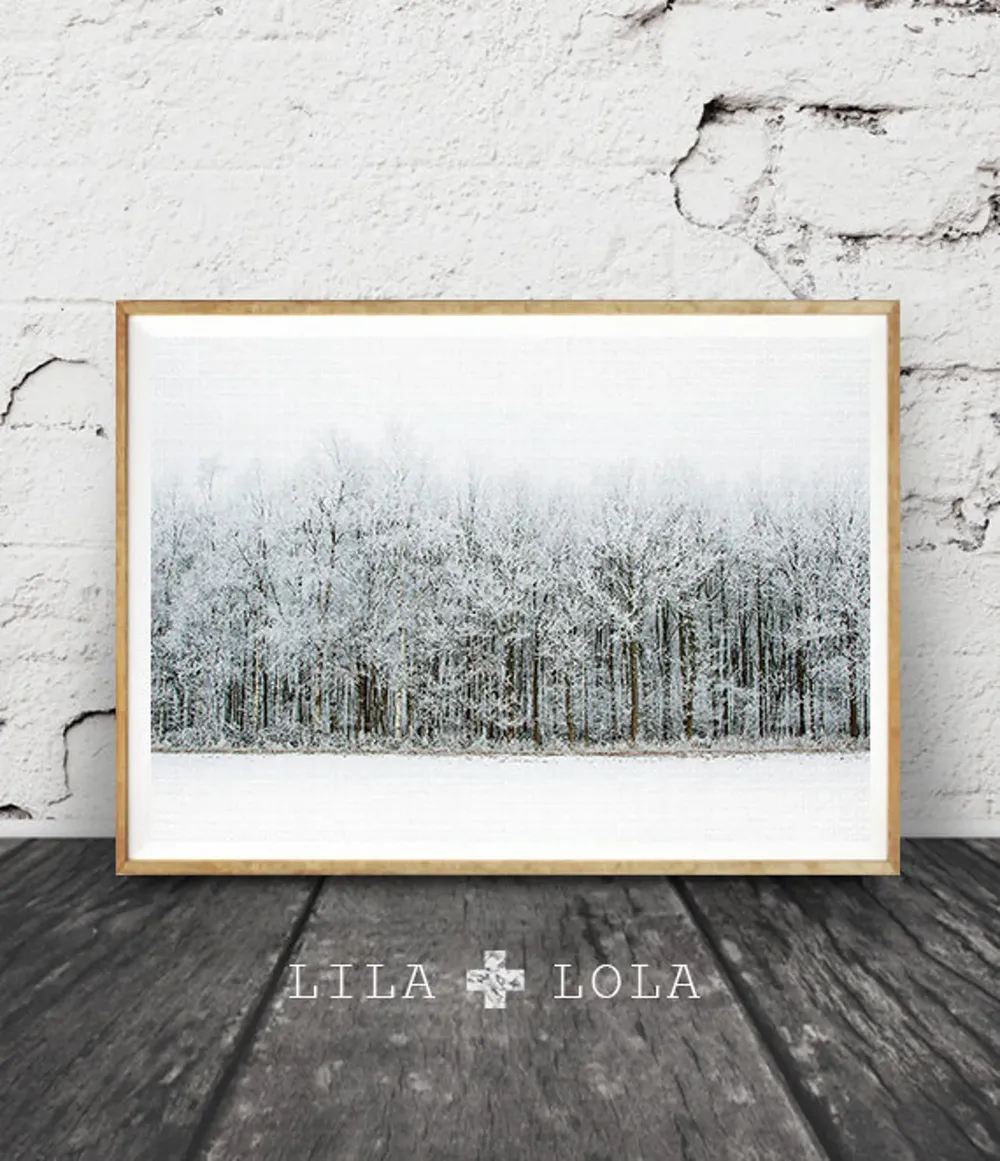Winter Forest Photography Print, Scandinavian Nature Art