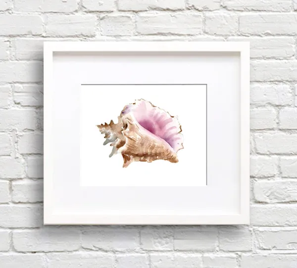 Sea Shell Conch Watercolor Art Print, Bathroom Decor