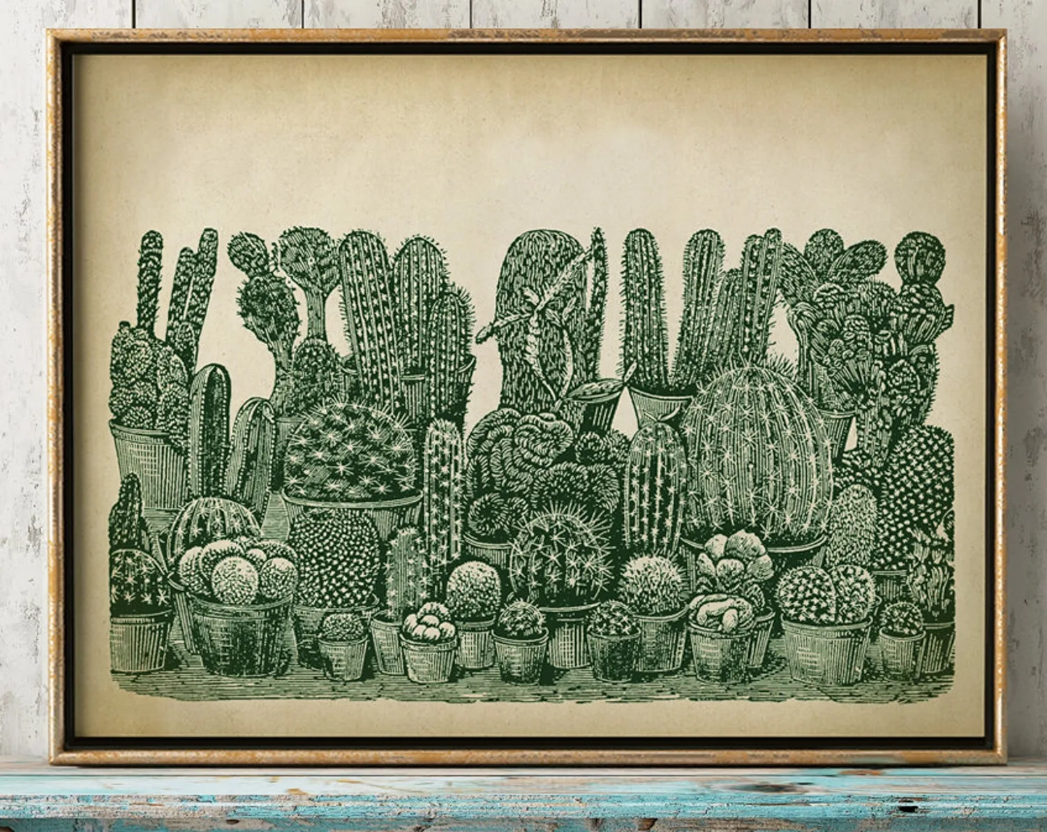 Cactus Botanical Study Art Print
