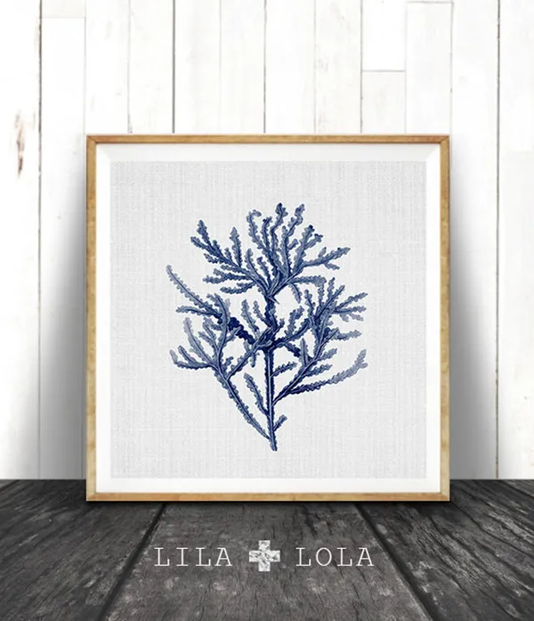 Navy Blue Seaweed Coastal Nautical Art Print
