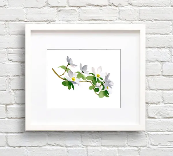 Dogwood Flowers Watercolor Art Print, Kitchen Decor