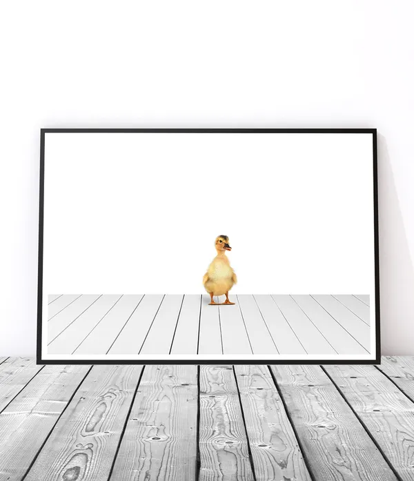 Duckling Nursery Art Print, Baby Animal Wall Decor