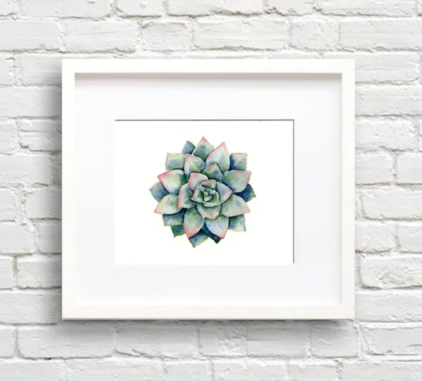 Succulent Watercolor Plant Art Print, Botanical Decor