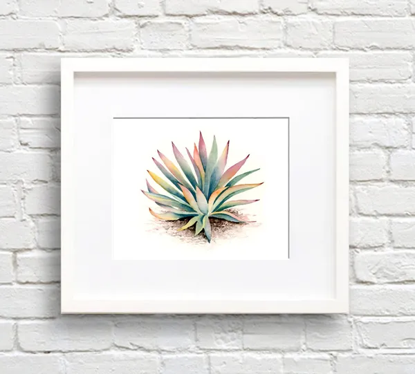 Succulent Watercolor Art Print, Botanical Decor