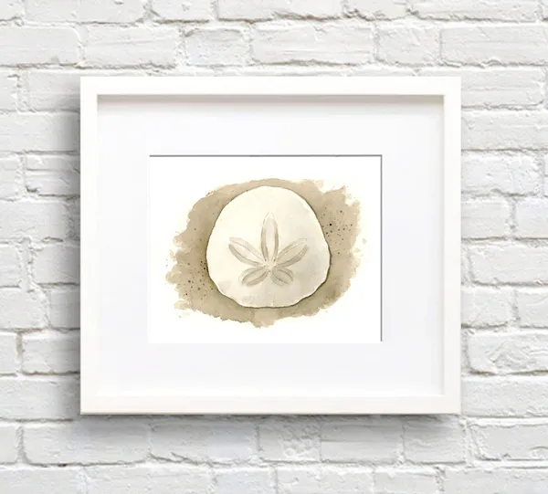 Sand Dollar Watercolor Painting Wall Art Print