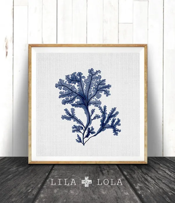 Indigo Seaweed Illustration, Coastal Nautical Art Print