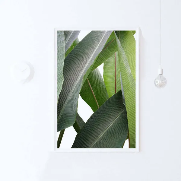 Banana Leaf - Tropical Botanical Print