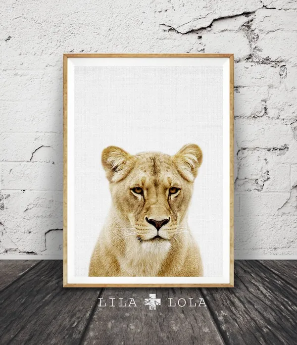 Lioness Portrait Print, African Animal Wall Art