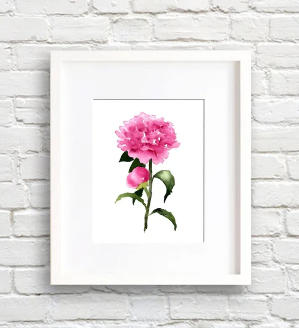 Peony Flower Peonies Floral Watercolor Art Print