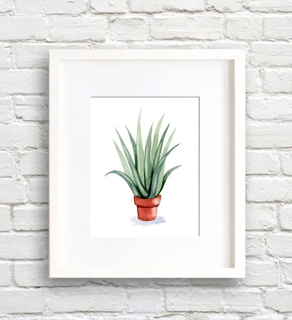 Aloe Vera Watercolor Art Print, Botanical Decor