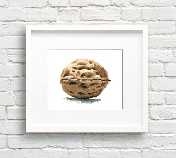 Walnut Watercolor Art Print, Kitchen Wall Decor