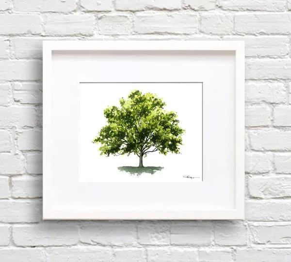 Watercolor Sycamore Tree Art Print, Nature Decor
