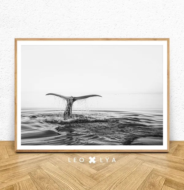 Whale Tail Ocean Print Decor, Coastal Wall Art