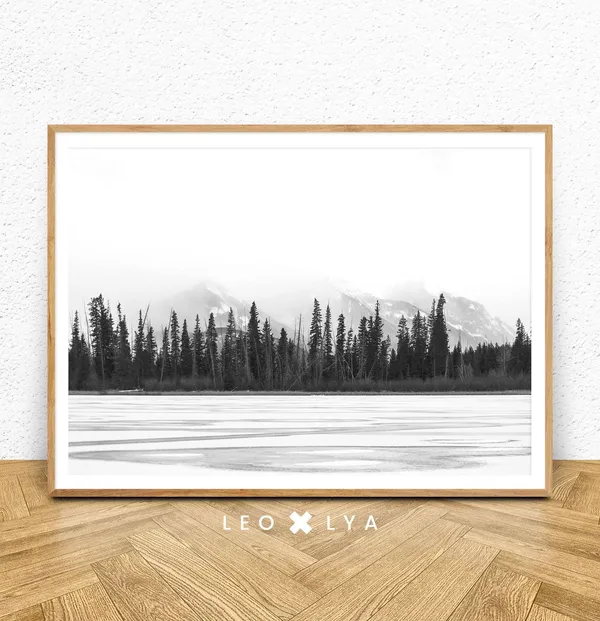 Black And White Forest Photography Art Print