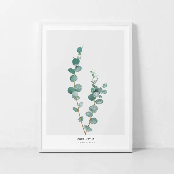 Eucalyptus Botanical Leaf Art Print, Mint Decor