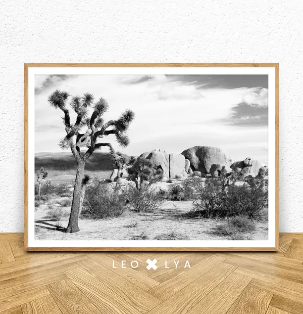 Cactus Print Arizona Desert Nature Poster
