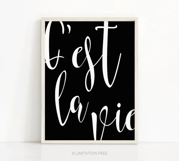C'est La Vie Typography Poster Print, Black White