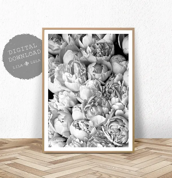 Black And White Peony Photography Art Print