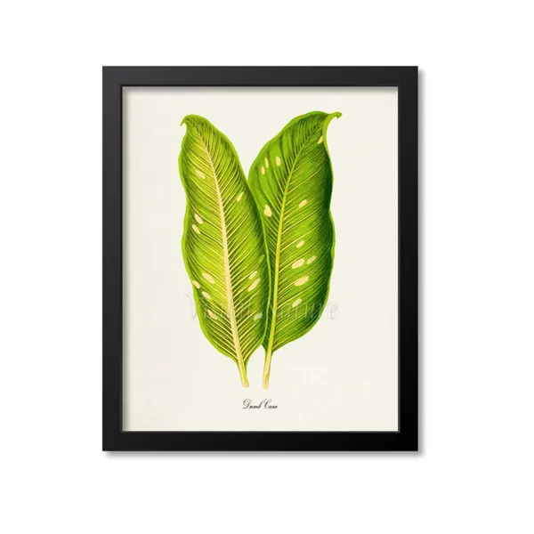 Dumb Cane Botanical Wall Art Print, Green Leaves