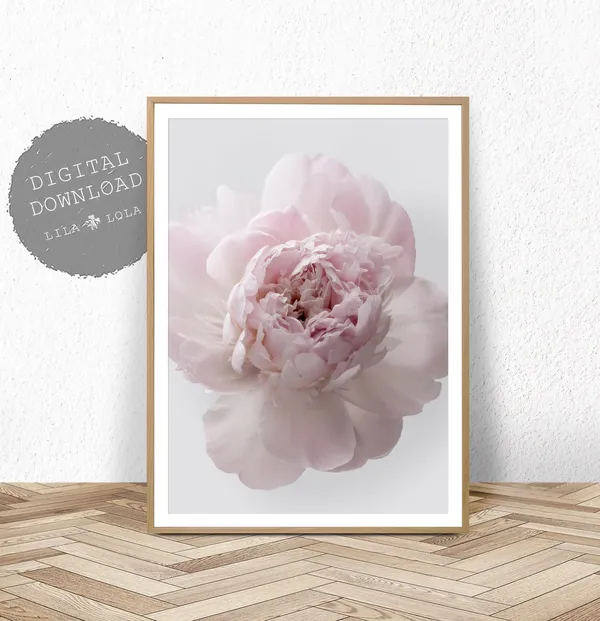 Pink Peony Rose Floral Art Print, Bedroom Decor