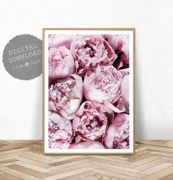 Pink Peony Flower Photography Art Print, Bedroom Decor