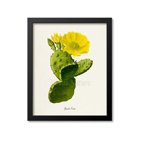 Spineless Cactus Botanical Art Print, Green Yellow
