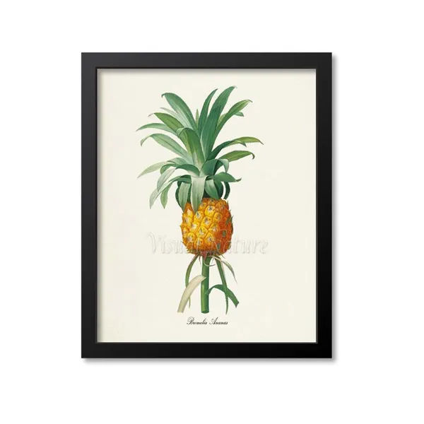 Pineapple Botanical Art Print, Kitchen Wall Art
