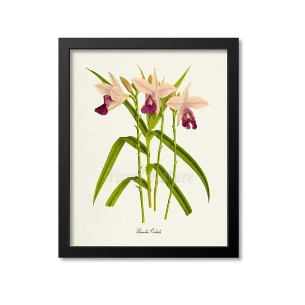 Bamboo Orchids Botanical Wall Art Print, Floral Decor