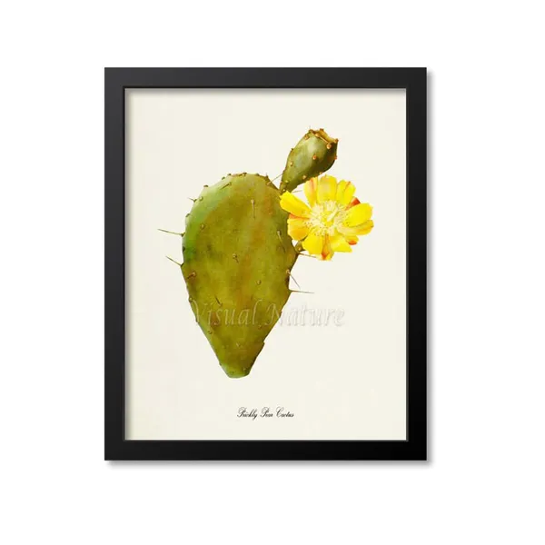 Prickly Pear Cactus Botanical Wall Art Print
