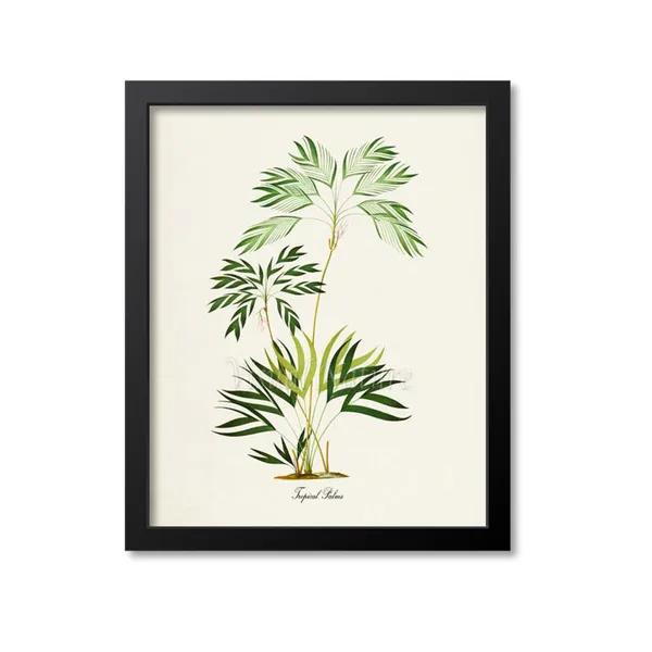 Tropical Palms Botanical Art Print, Coastal Decor