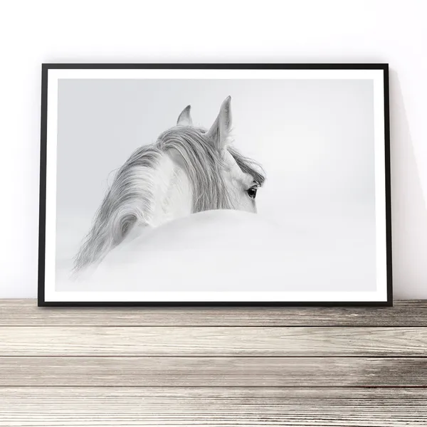 Black And White Horse Photography Wall Art Print