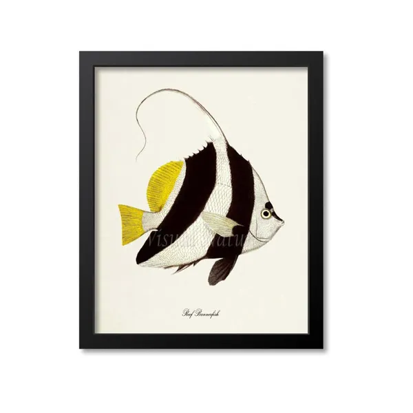 Reef Bannerfish Art Print, Sea Life Ocean Art