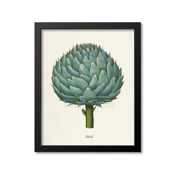 Artichoke Botanical Art Print, Kitchen Wall Art