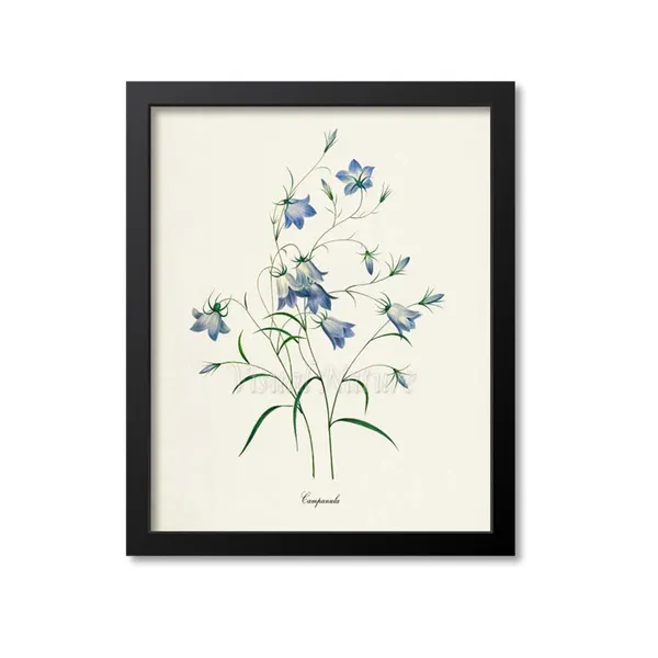 Bellflowers Botanical Art Print, Redoute Inspired