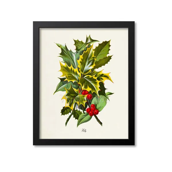 Holly Botanical Christmas Art Print, Red Berry