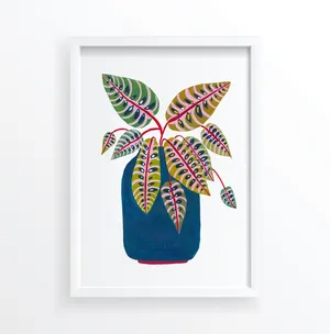 Prayer Plant Botanical Illustration, Dorm Decor Art Print