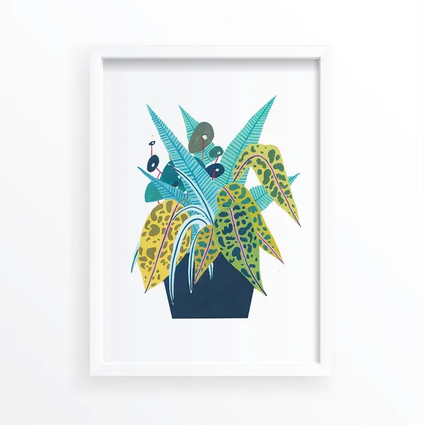 Botanical House Plants Illustration Art Print