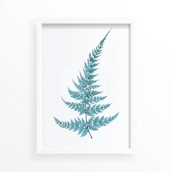 Fern Botanical Illustration Bathroom Wall Art Print