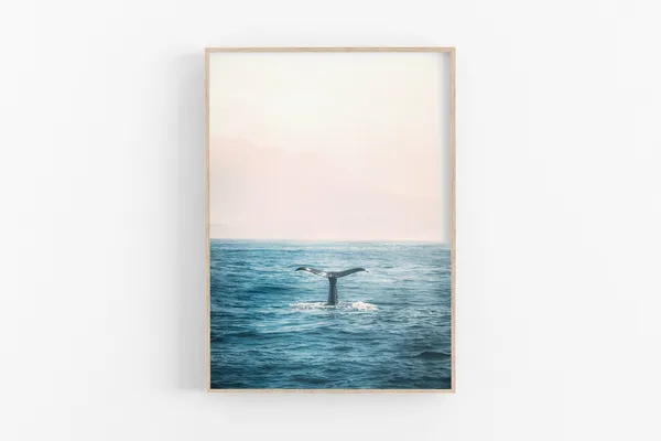 Whale Print Ocean Wall Art, Beach Nature Photo