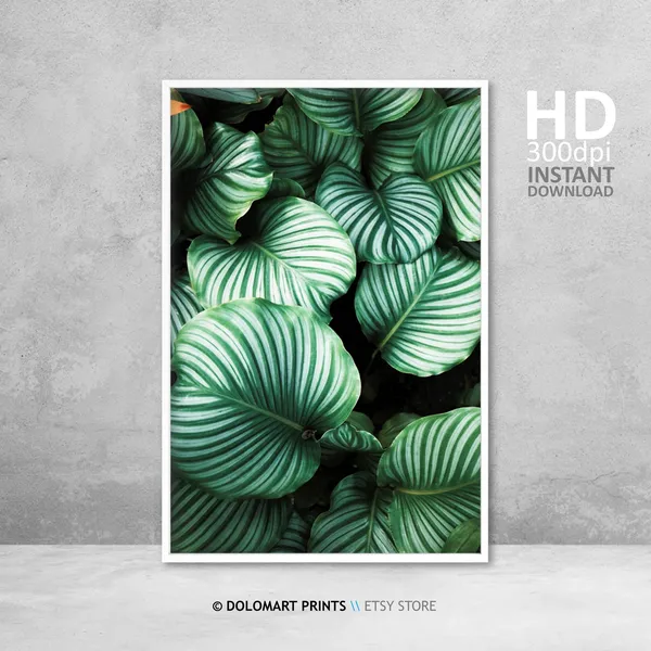 Monstera Tropical Plant Art Print, Botanical Decor