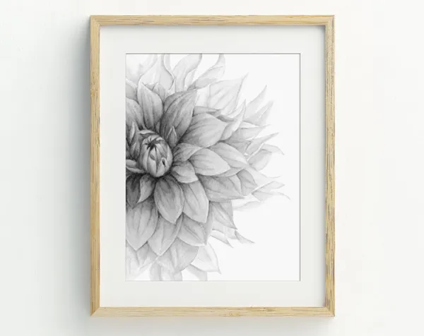 Dahlia Flower Print, Modern Black and White Art Print