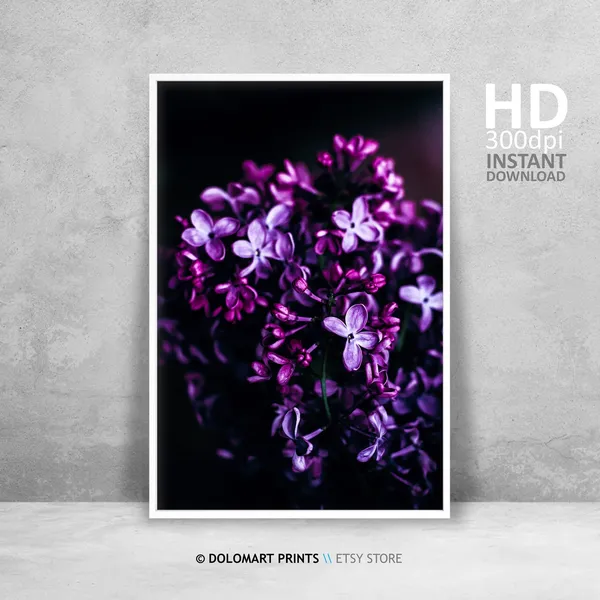Purple Flower Photo Art Print, Purple and Black