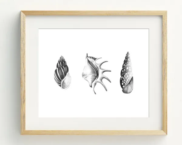 Seashell Print, Minimalist Coastal Wall Art