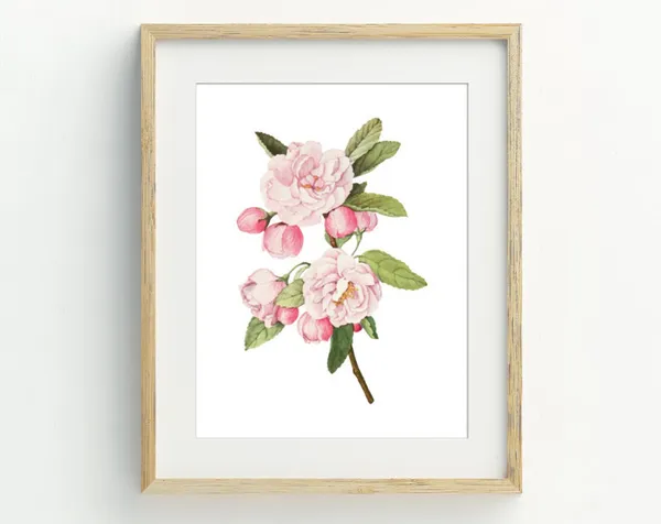 Rose Print, Vintage Floral Wall Art Poster