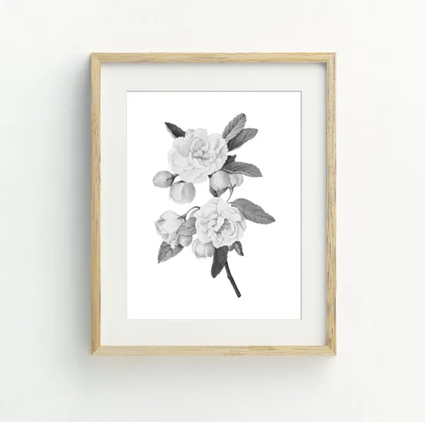 Black and White Rose Art Print, Modern Flower