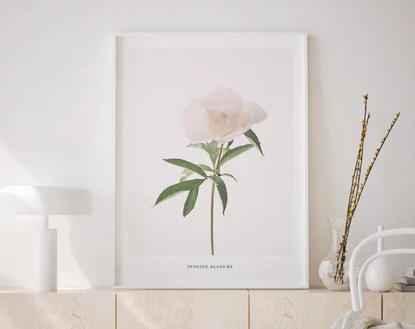 Peony Print, Minimal Botanical Art Print