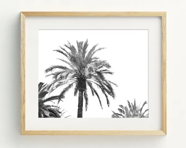 Palm Tree Art Print, Black and White Coastal Decor