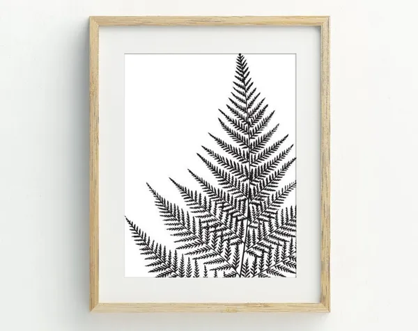 Fern Art Print, Black and White Botanical Decor