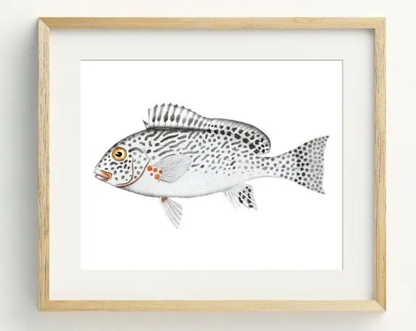 Minimalist Fish Print, Grey Nautical Wall Art