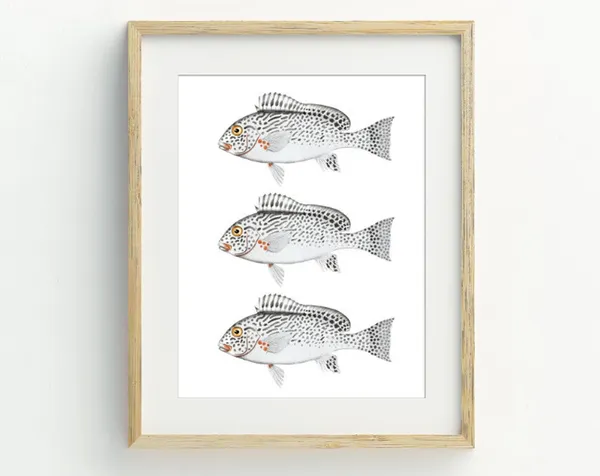 Fish Coastal Decor, Nautical Beach Art Print